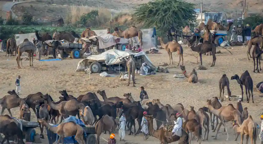 Golden Triangle Tour with Pushkar